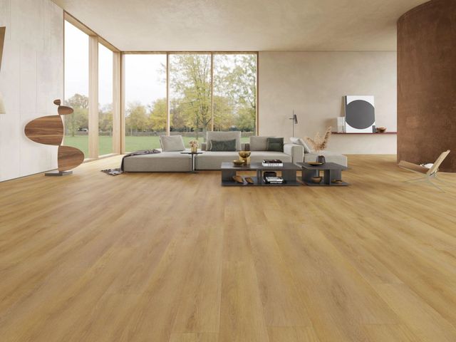 Auckland Oak, Atlas collection