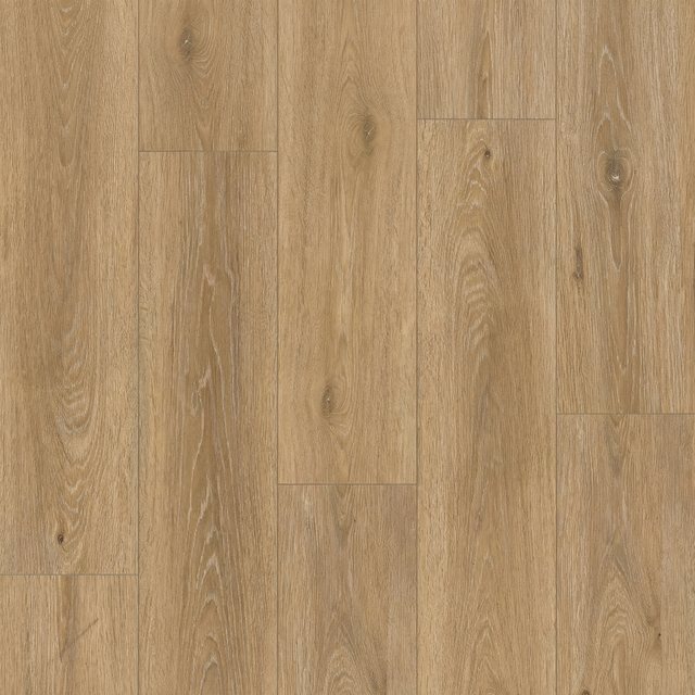 Caramel Oak, Foundation collection