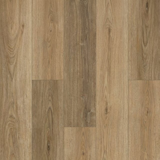 Chestnut Oak, Foundation collection